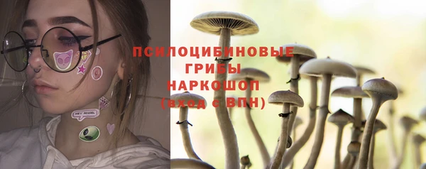 Альфа ПВП Абаза