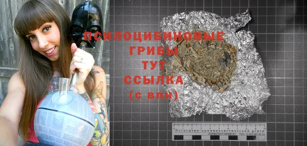 Альфа ПВП Абаза