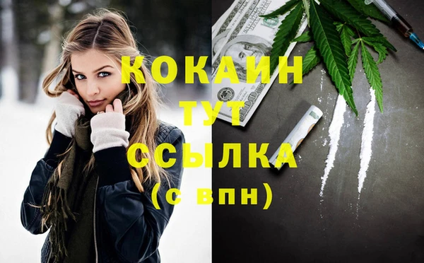 шишки Абдулино