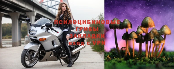 шишки Абдулино