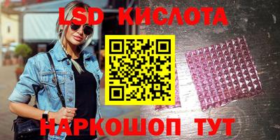 стаф Кинель