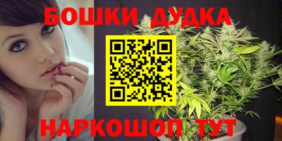 стаф Кинель