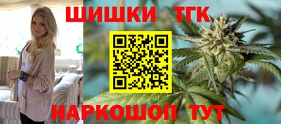мет Кингисепп