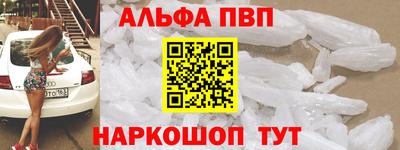 мет Кингисепп
