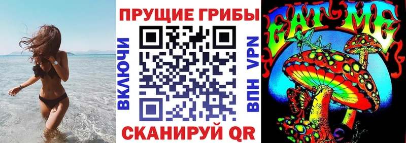 Галлюциногенные грибы прущие грибы  где купить наркотик  Новотроицк 