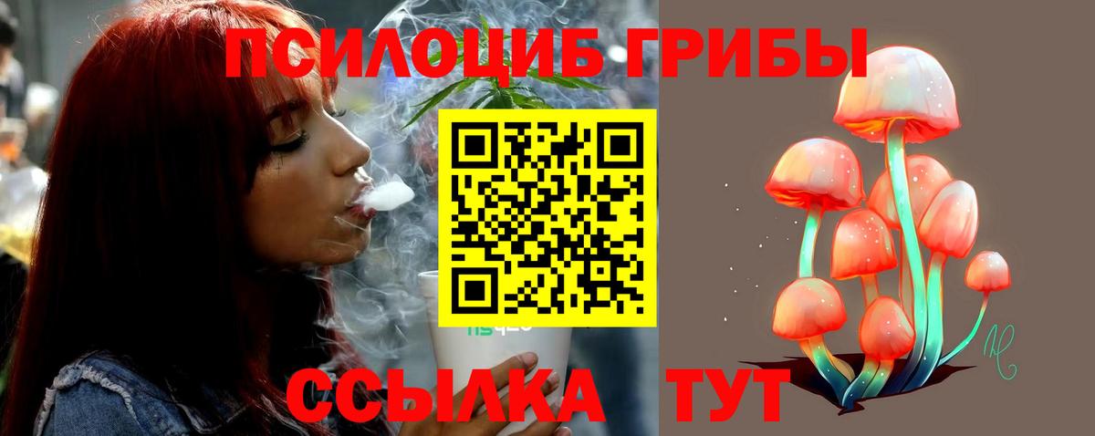 Новотроицк  Псилоцибиновые грибы мицелий  Вход с VPN  Галлюциногенные грибы мицелий 