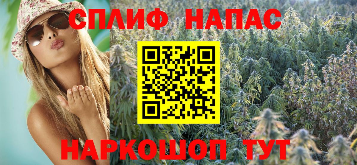 Бошки Шишки тримм  Каннабис ГИДРОПОН  Марихуана планчик  Новотроицк  Вход с VPN 